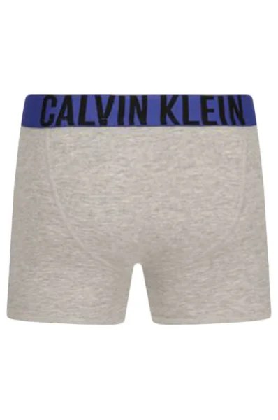 Bokserki 2-pack Calvin Klein Underwear szary
